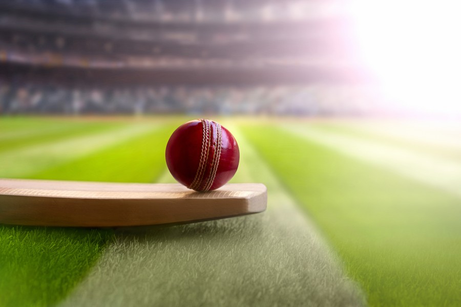 Cricket ball resting on a bat Cricket ball resting on a bat