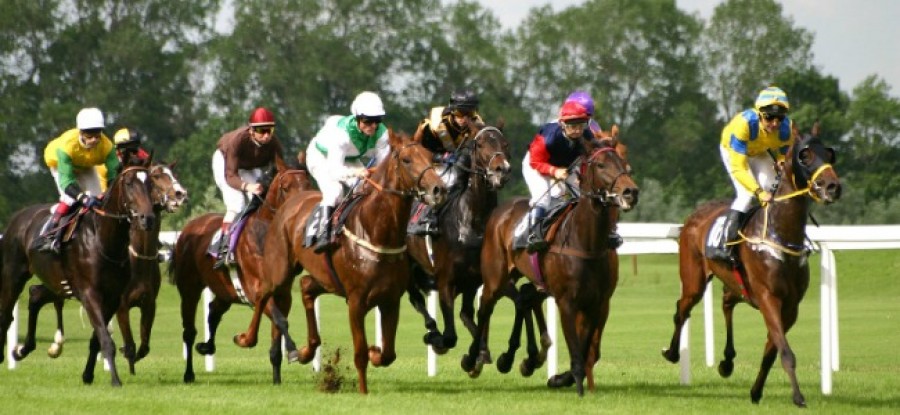 Horseracing Horseracing
