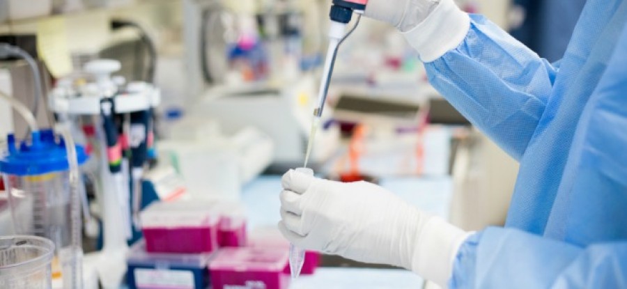 Laboratory_Testing Laboratory_Testing