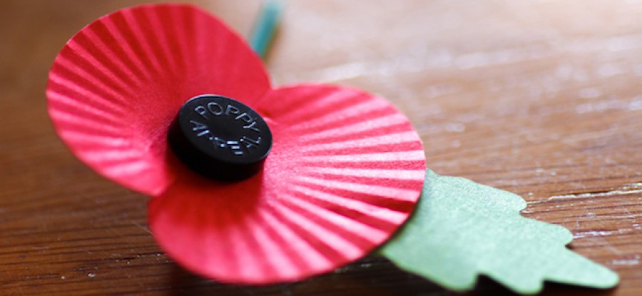Poppy on table Poppy on table