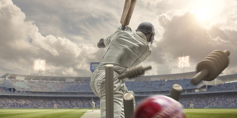 Cricket Cricket