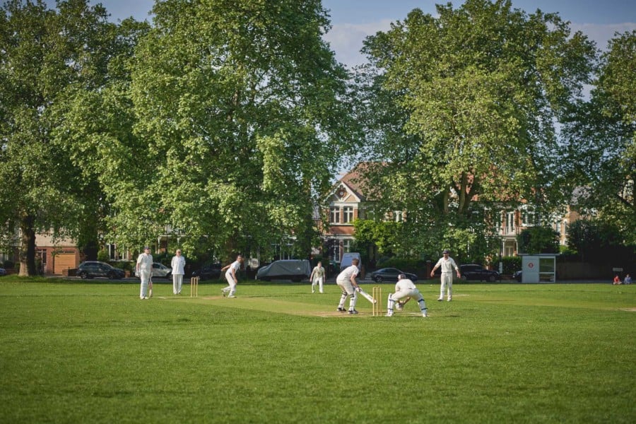 Cricket Cricket