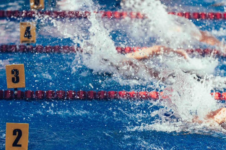 Swimming Competition Swimming Competition