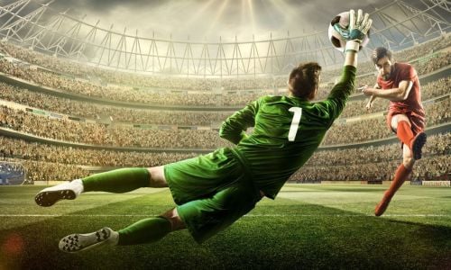 Goalkeeper saving shot