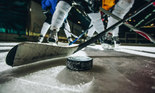 Ice Hockey Puck and Stick