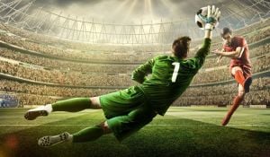 Goalkeeper saving shot