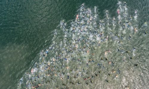 Triathlon participants swimming