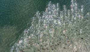 Triathlon participants swimming