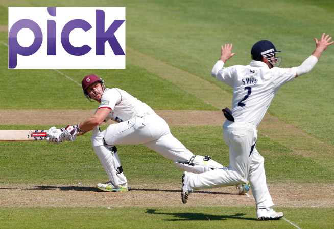 Cricket-with-Pick-Logo
