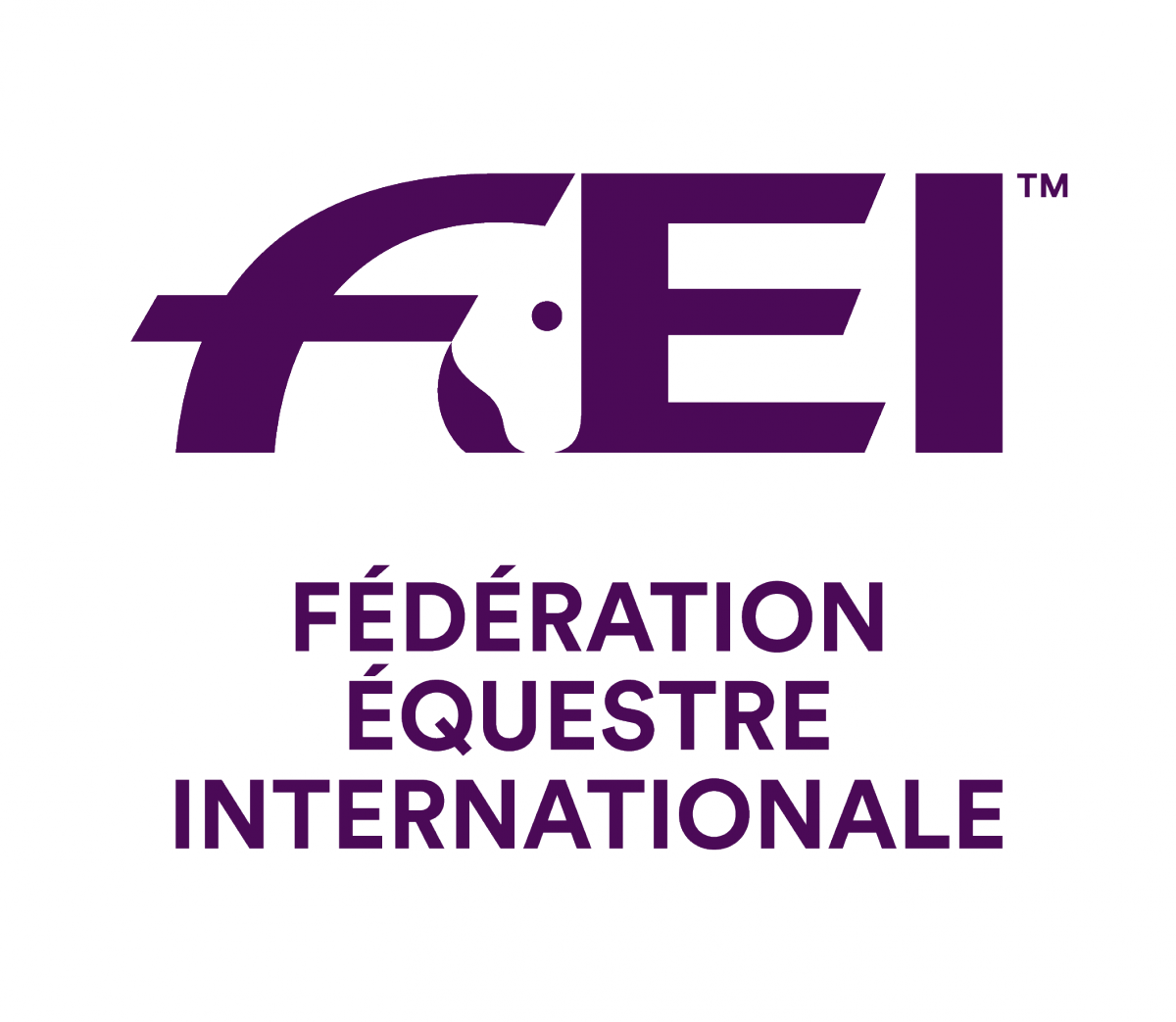 FEI Logo