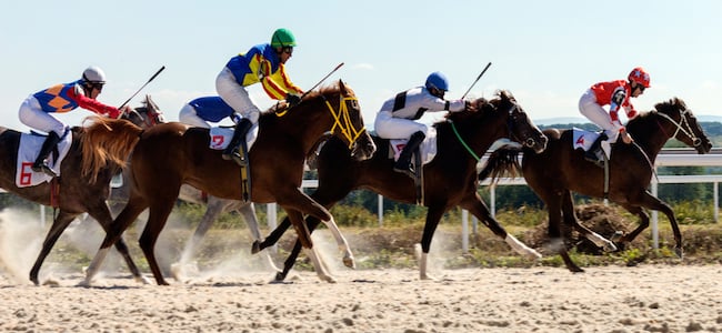 Horseracing on track