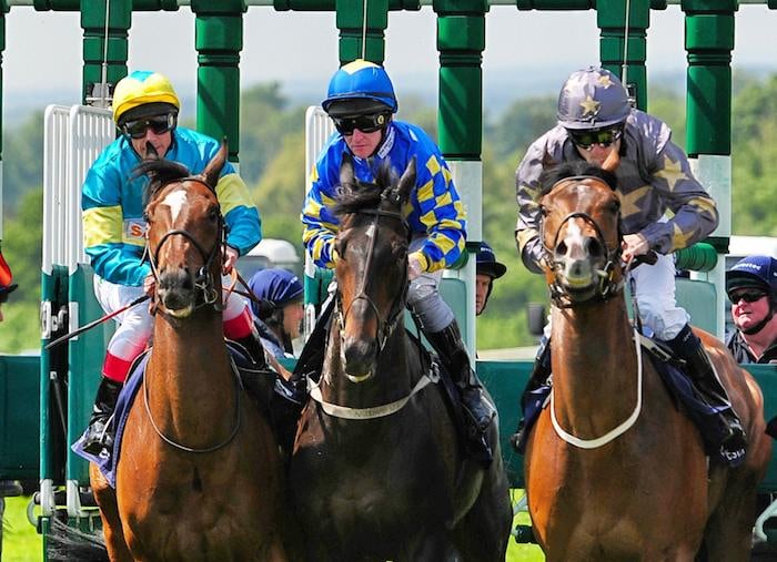 Horseracing out of gates