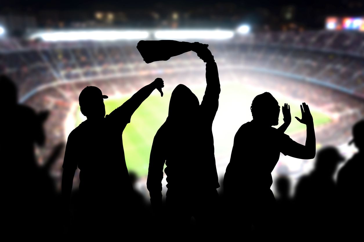 Title Image of Fan Abuse, Liability & "All Reasonable Steps