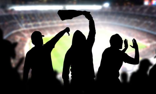 Title Image of Fan Abuse, Liability & "All Reasonable Steps
