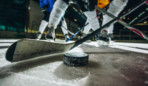 Ice Hockey Puck and Stick